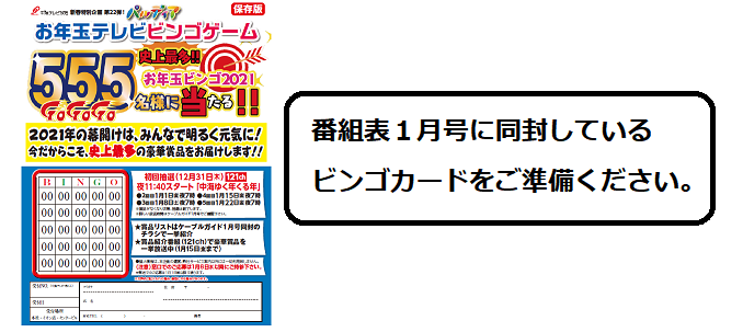 パルディア お年玉テレビビンゴゲームのご案内